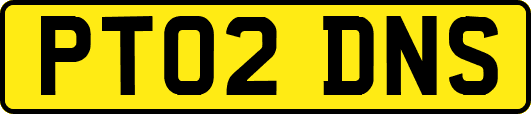 PT02DNS