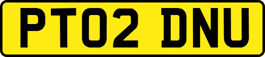 PT02DNU