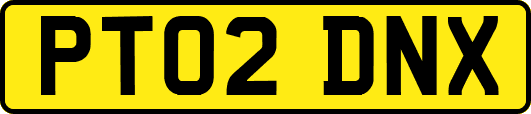 PT02DNX