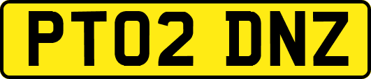 PT02DNZ