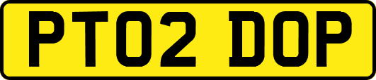 PT02DOP