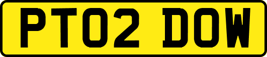 PT02DOW