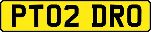 PT02DRO