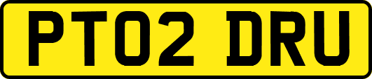 PT02DRU