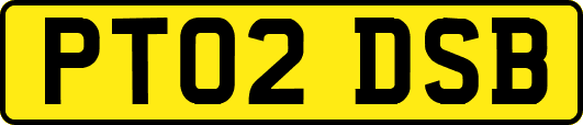 PT02DSB