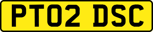 PT02DSC