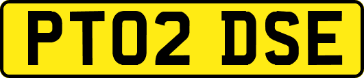 PT02DSE