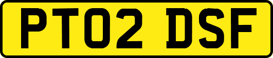 PT02DSF