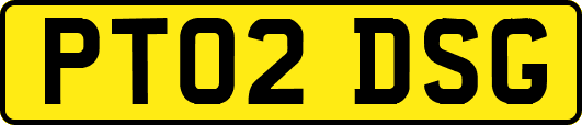 PT02DSG
