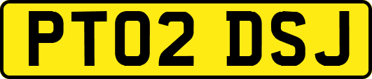 PT02DSJ