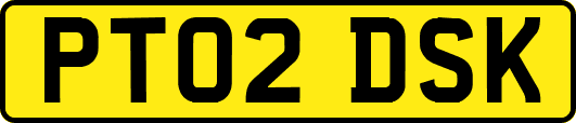 PT02DSK