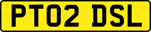 PT02DSL