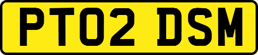 PT02DSM