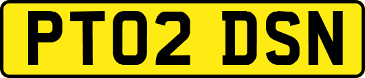 PT02DSN