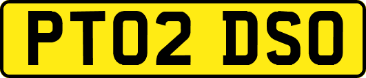 PT02DSO