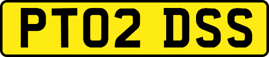 PT02DSS