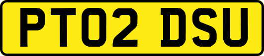 PT02DSU