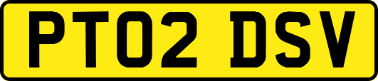 PT02DSV
