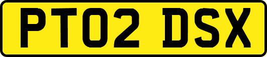 PT02DSX