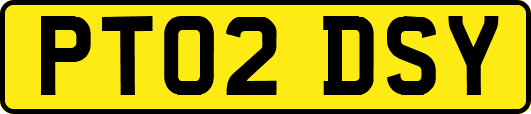 PT02DSY