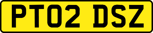 PT02DSZ