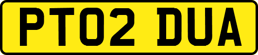 PT02DUA