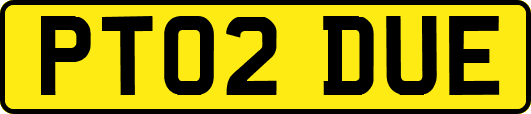 PT02DUE