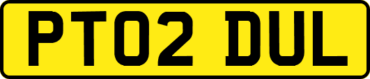 PT02DUL