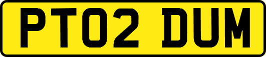 PT02DUM