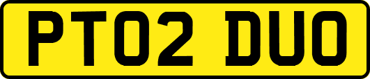 PT02DUO