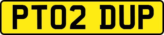 PT02DUP