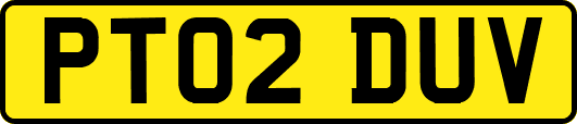 PT02DUV