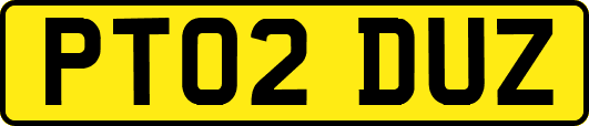PT02DUZ
