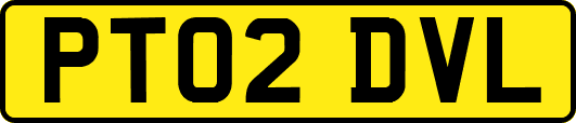 PT02DVL