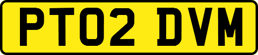 PT02DVM