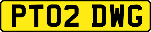 PT02DWG