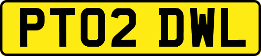 PT02DWL