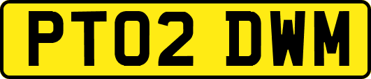 PT02DWM