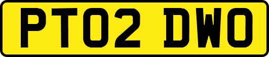 PT02DWO