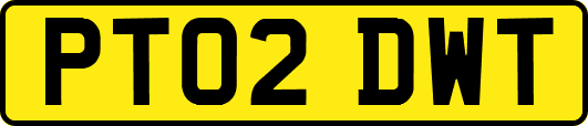 PT02DWT