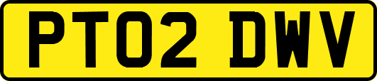 PT02DWV