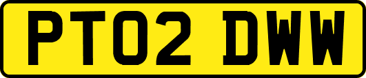 PT02DWW