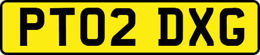 PT02DXG