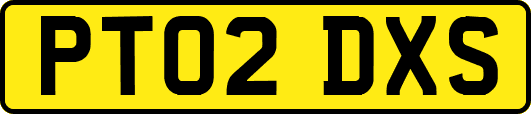 PT02DXS