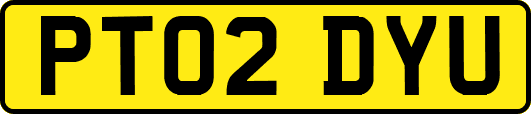 PT02DYU