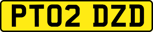 PT02DZD