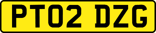 PT02DZG