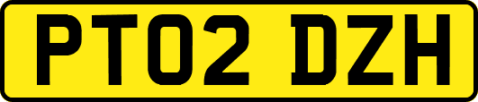 PT02DZH