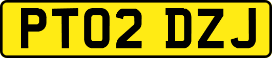 PT02DZJ