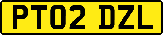 PT02DZL